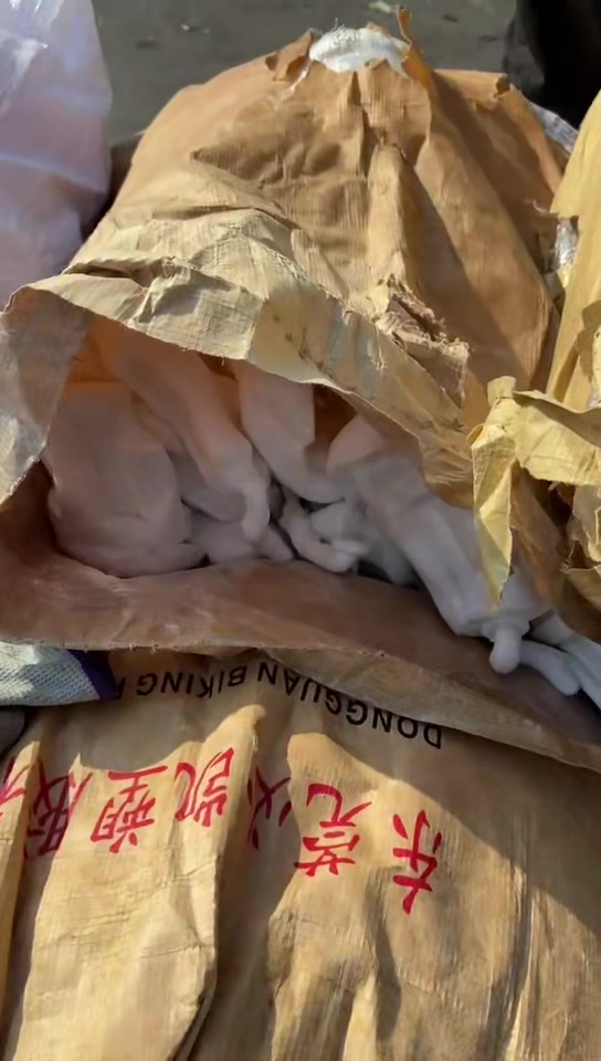 重庆重庆市鞋底 TPE 废料回收价格