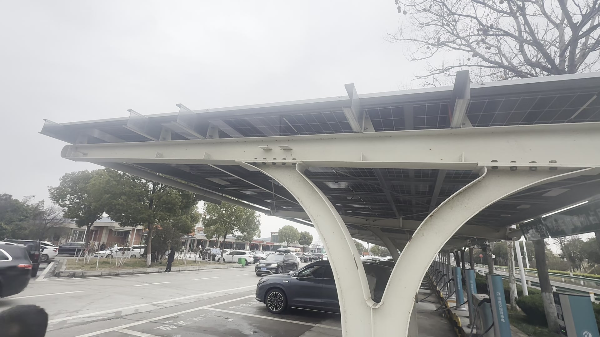 驻马店市输水脱脂铜管哪家质量好