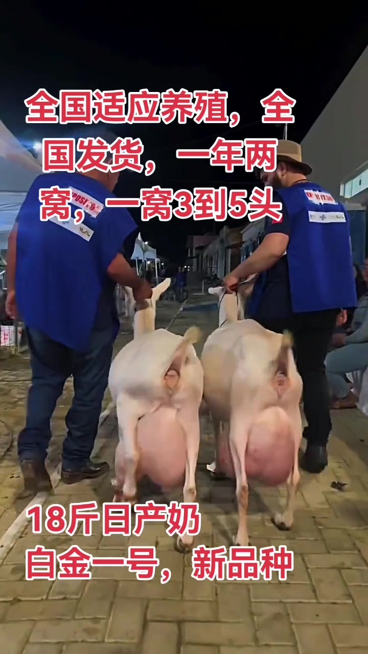 安徽六安温室大棚实地安装