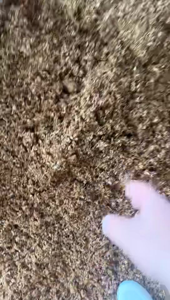 徐汇区枫林路工厂下水道疏通精准处理
