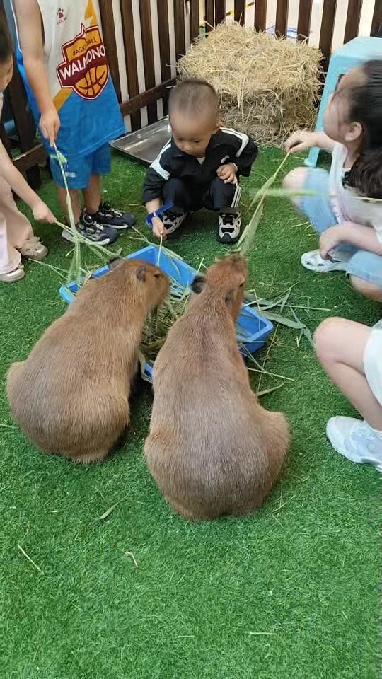 北京型材拉弯