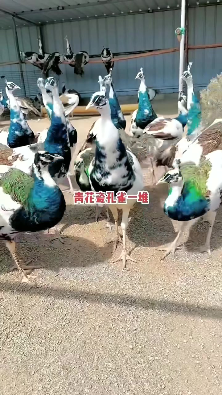 鹤壁市非开挖修复后管道公司电话