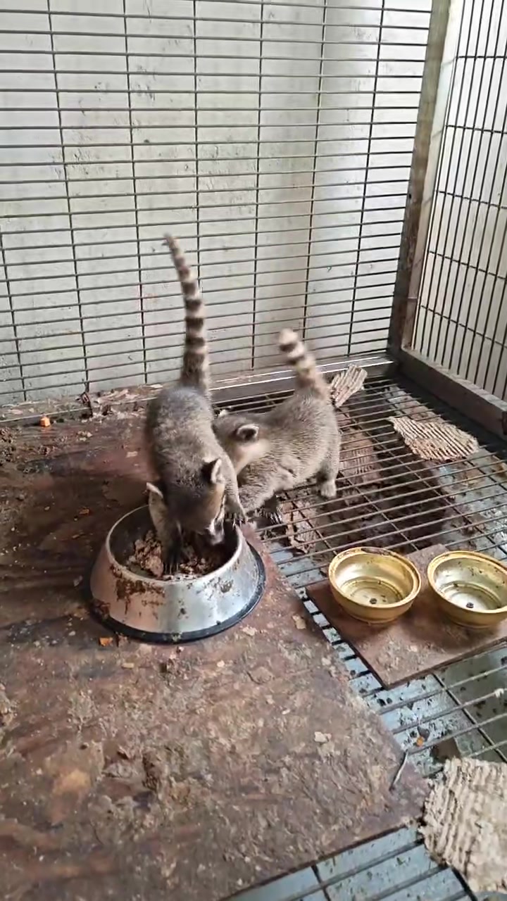 北京涡凹气浮机厂家电话