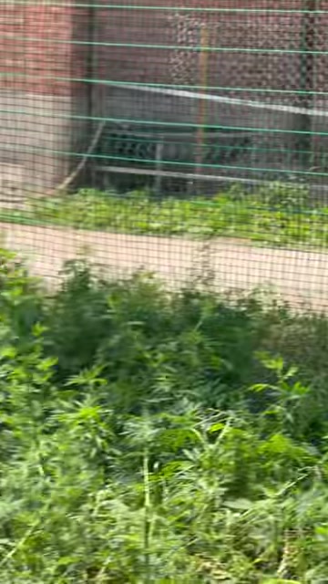 河北张家口稻草毯源头直供厂家