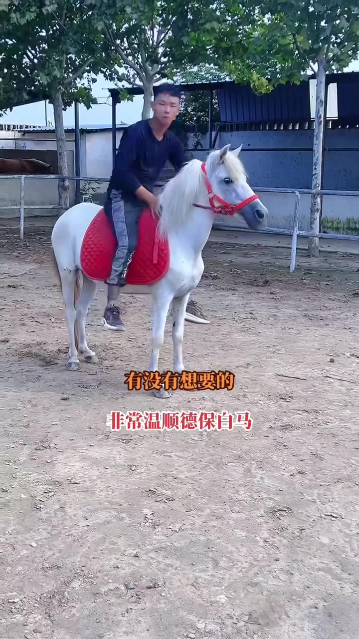 长春口碑好的贝力特220圆锥开槽钎杆定制