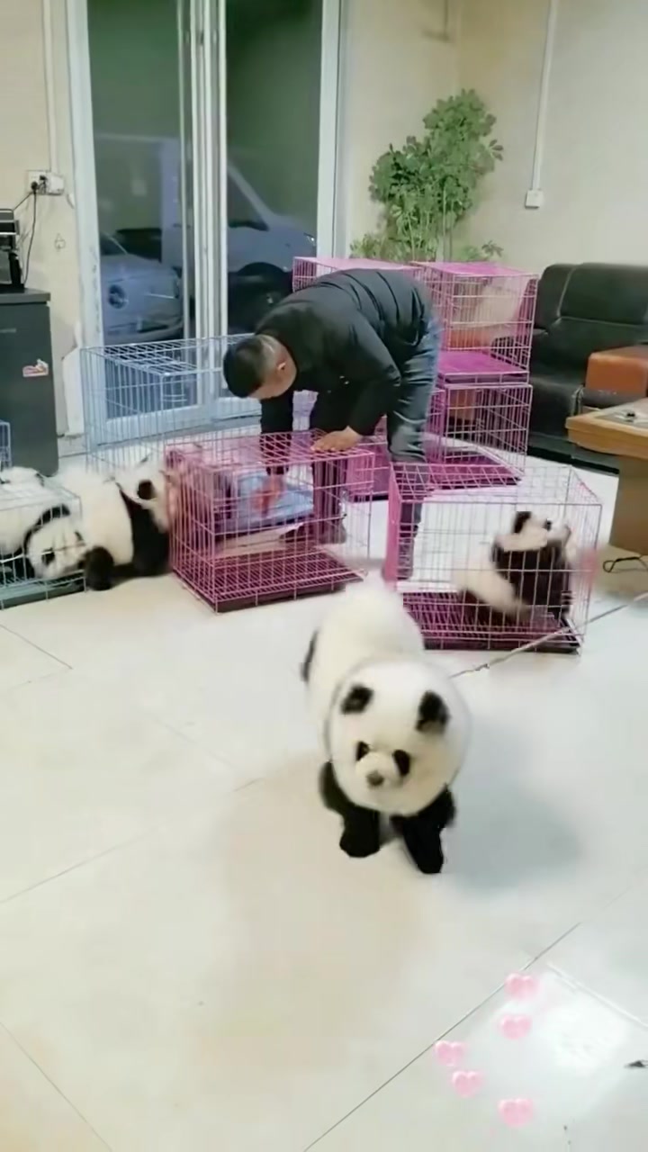 北京平谷窗帘哪家好