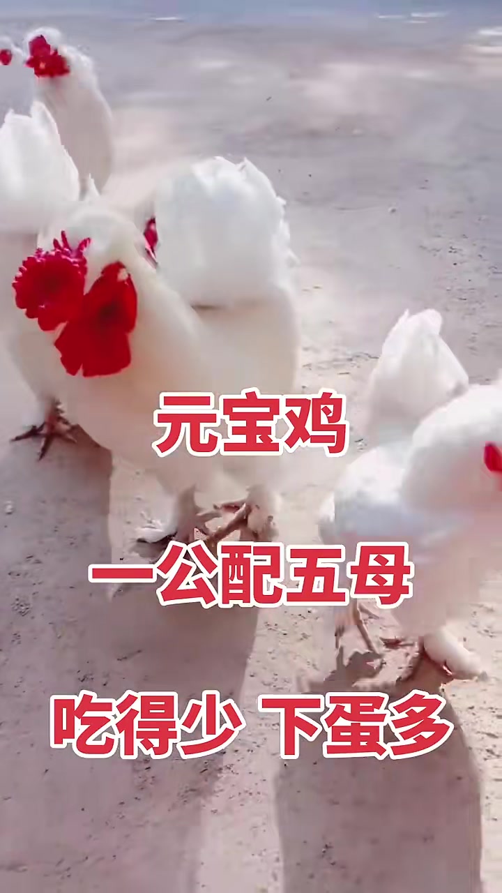 津垃圾分类房厂家联系方式