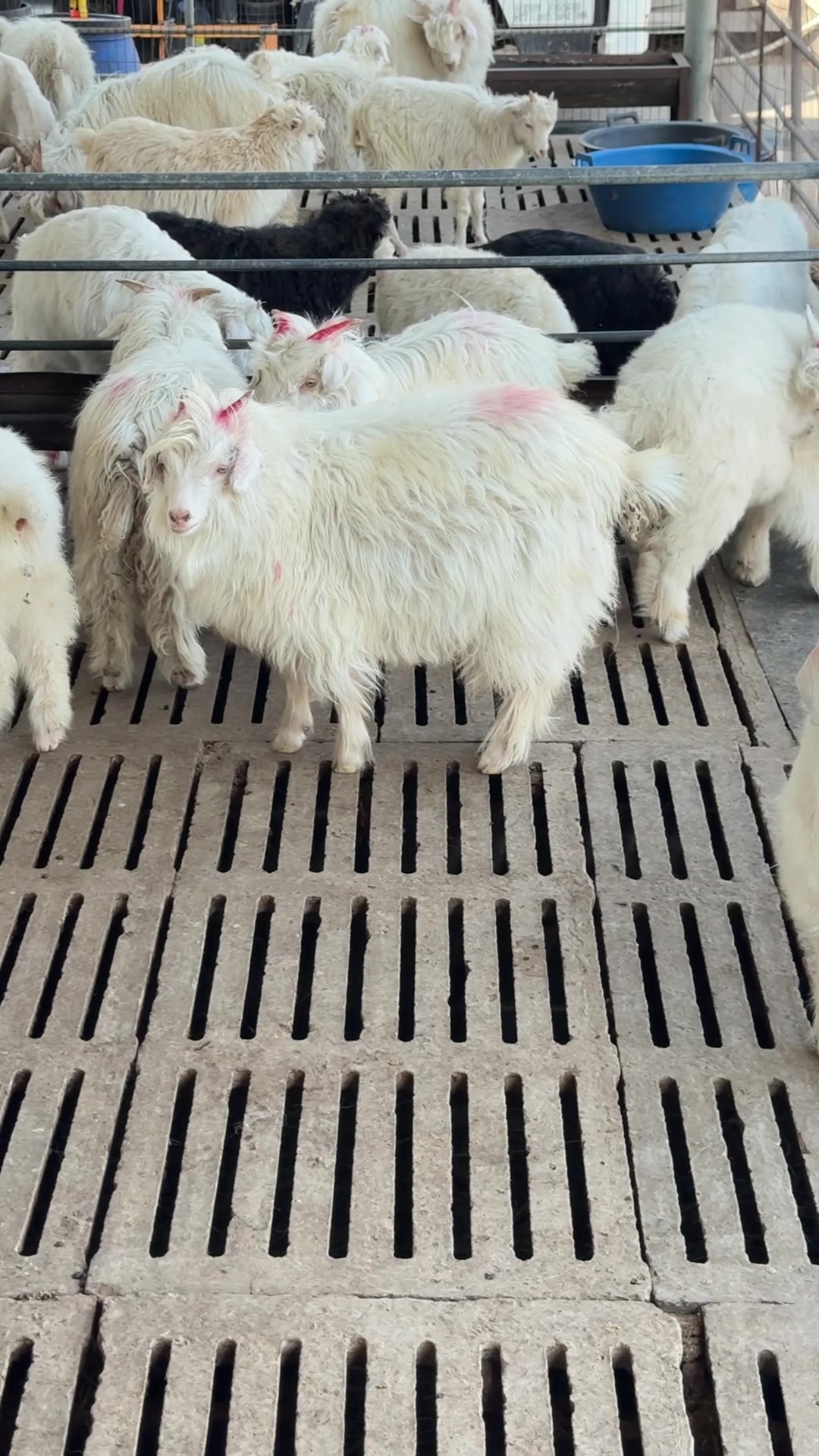 上海长宁阳台改造哪家好