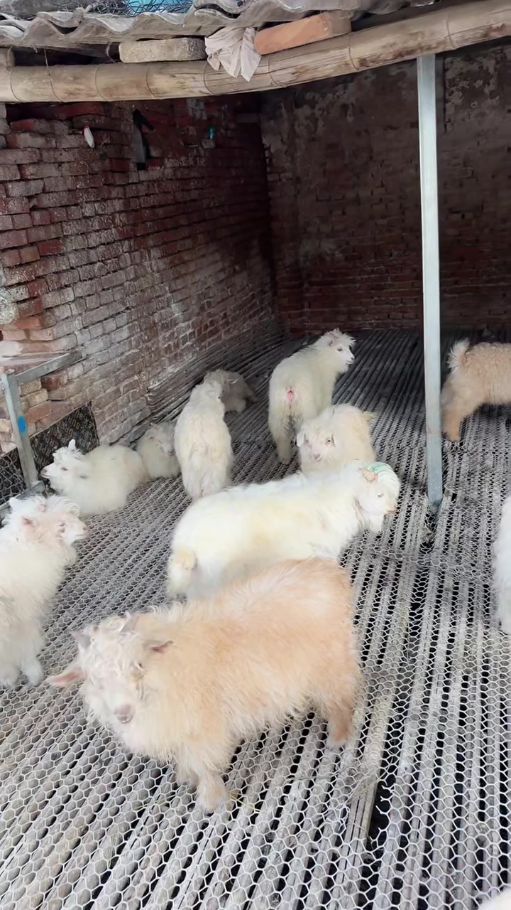 朝阳区注册危化品贸易公司哪家靠谱