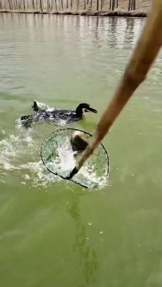 济南长清区吊轨推拉门开合顺滑体验