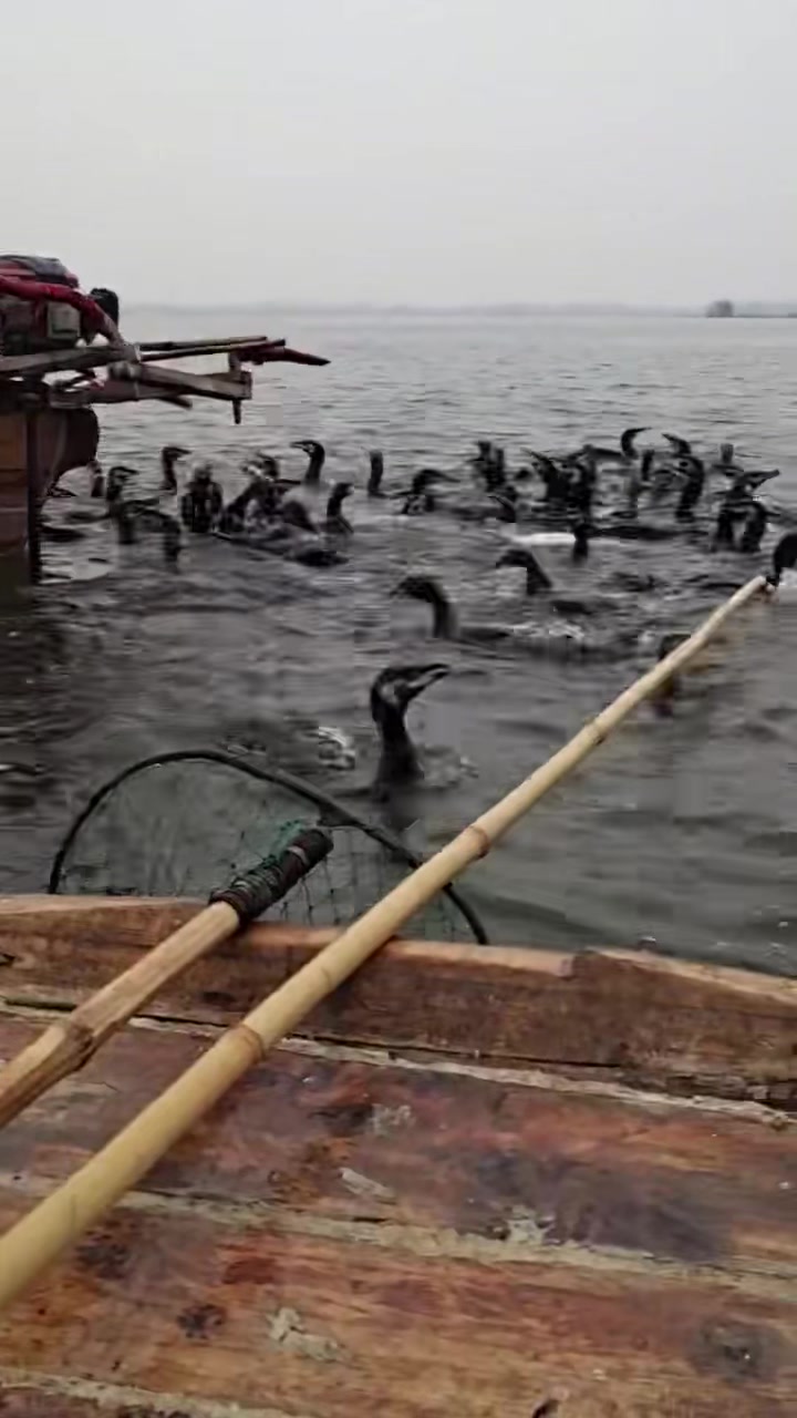 临沂公路垫层注浆加固公司