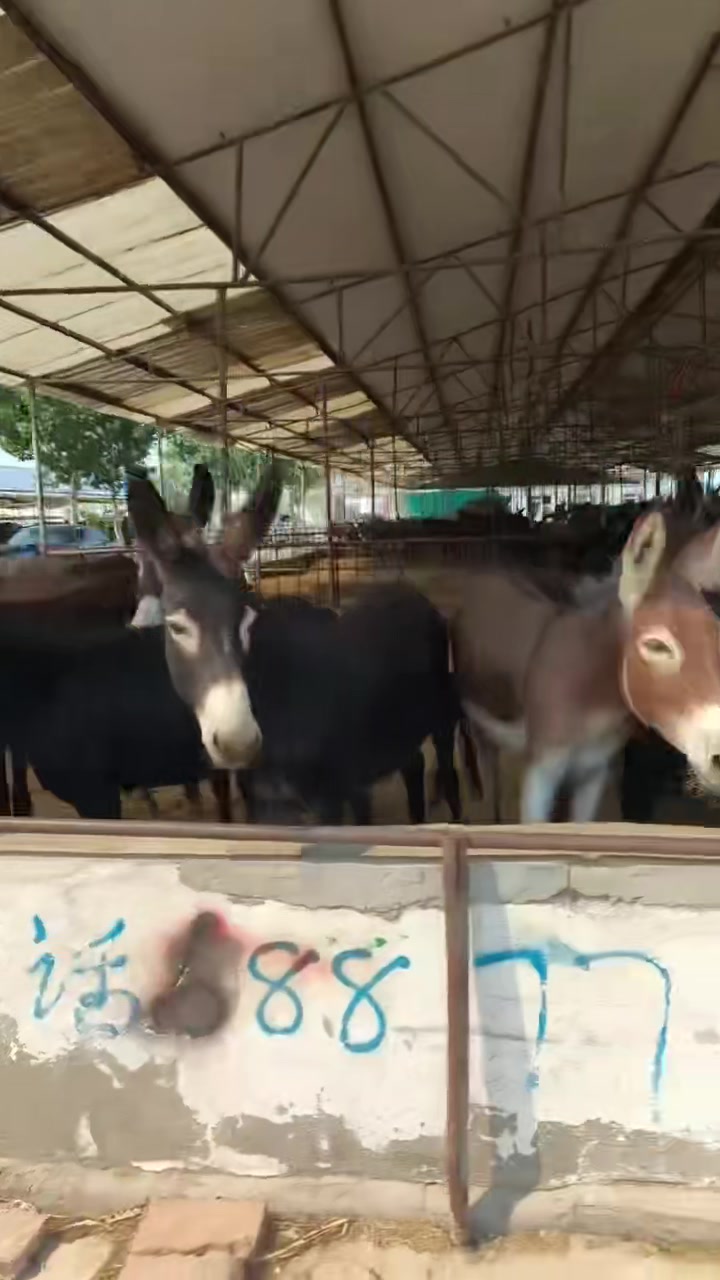 北京三维网哪家专业