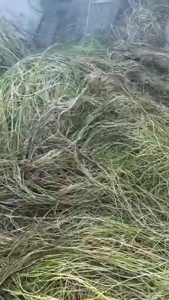 秦皇岛市激光雕刻机原理怎么样？快速雕刻解决方案