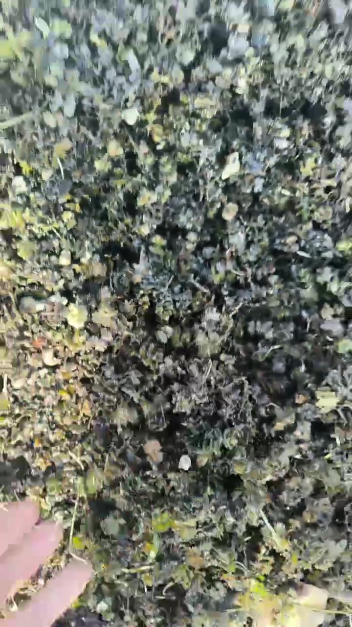 秦皇岛市激光雕刻机原理怎么样？快速雕刻解决方案