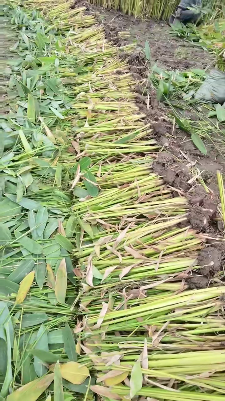 秦皇岛市激光雕刻机原理怎么样？快速雕刻解决方案