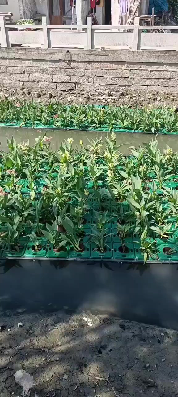 广州老房客厅地砖泡水起拱上门拆除重铺价格