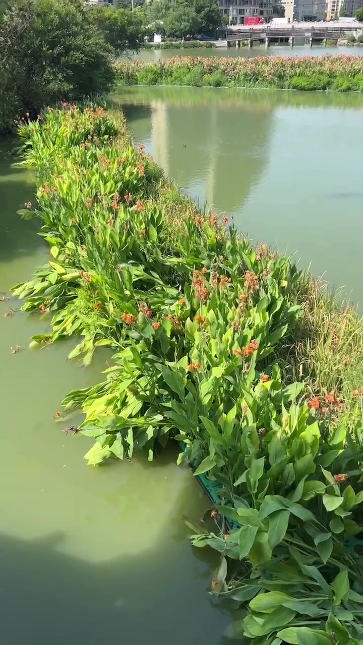 秦皇岛市激光雕刻机原理怎么样？快速雕刻解决方案