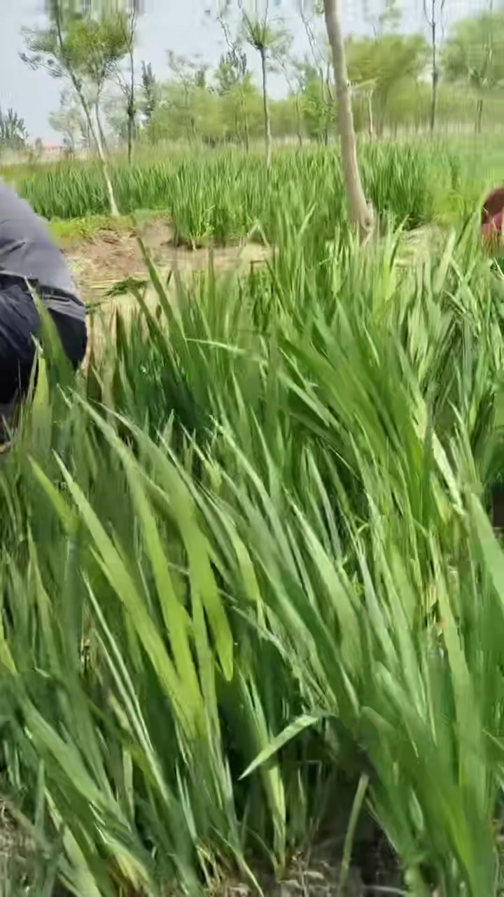 秦皇岛市激光雕刻机原理怎么样？快速雕刻解决方案