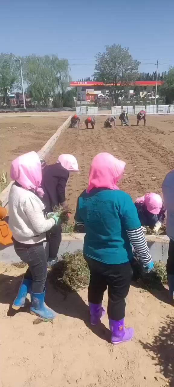 秦皇岛市激光雕刻机原理怎么样？快速雕刻解决方案