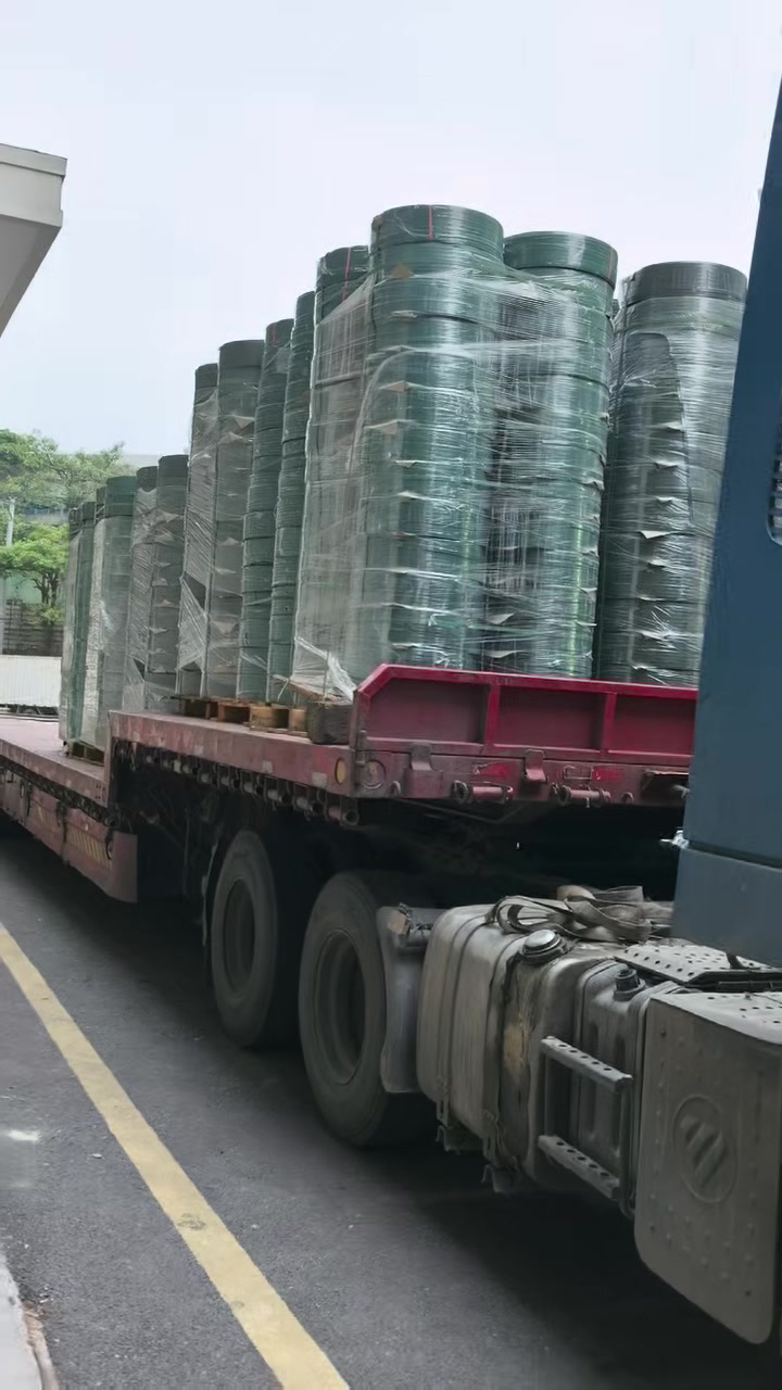 上海美国红枫树小苗选哪家
