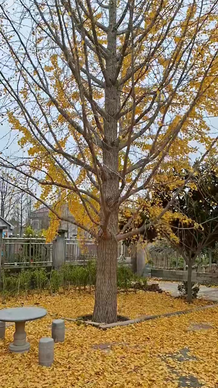 衡水市农村一体化泵站靠谱的