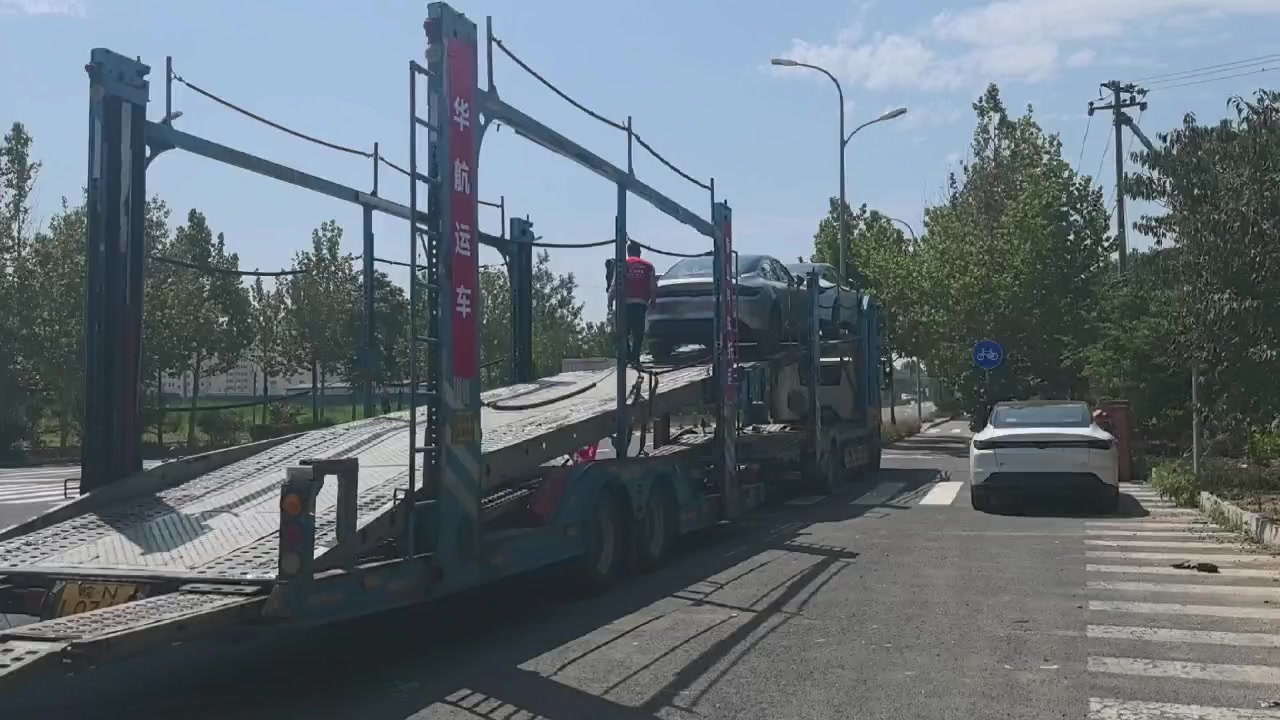 山东济宁企鹅展览推荐