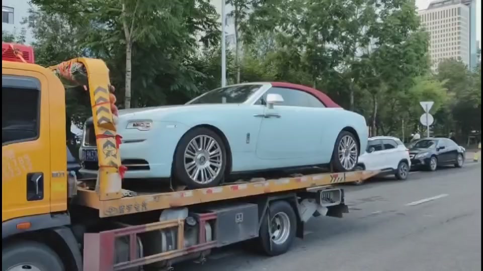山西忻州保德四季青草坪哪家好