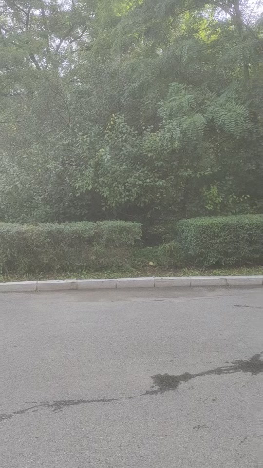 北京市酒店暖通预埋铜管哪家交货快