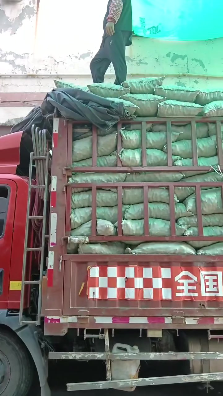 山东济宁陶粒生产厂家